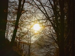 Der letzte Weg