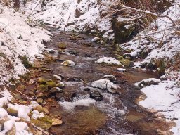 Wengerbach